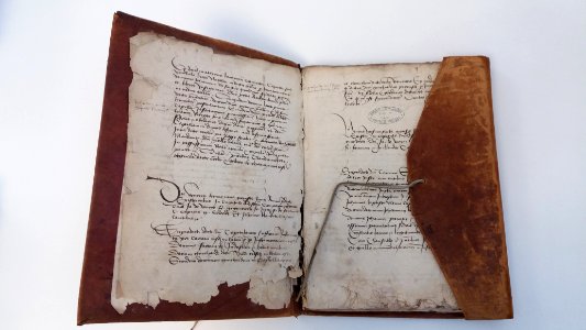 Archives départementales du Rhône - Chapitre Saint-Nizier - Actes capitulaires 15 G 11 - Intérieur