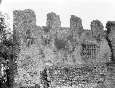 Archaeological ruins (1295035)