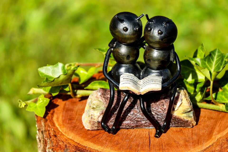 Iron sitting affection