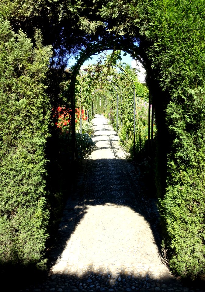 Arches in Jardines Bajos (Generalife) - Alhambra, Granada, Spain - DSC07755