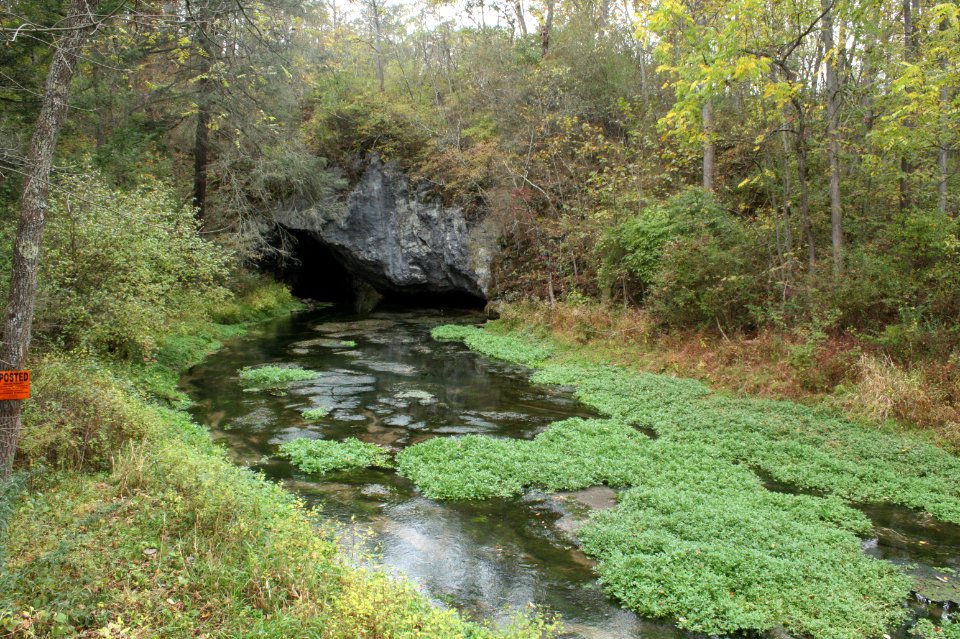 Arch Spring and Sinking Run, Pennsylvania