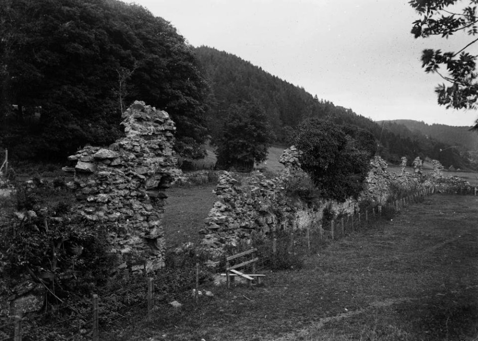Archaeological ruins at Abbeycwmhir (1293380)