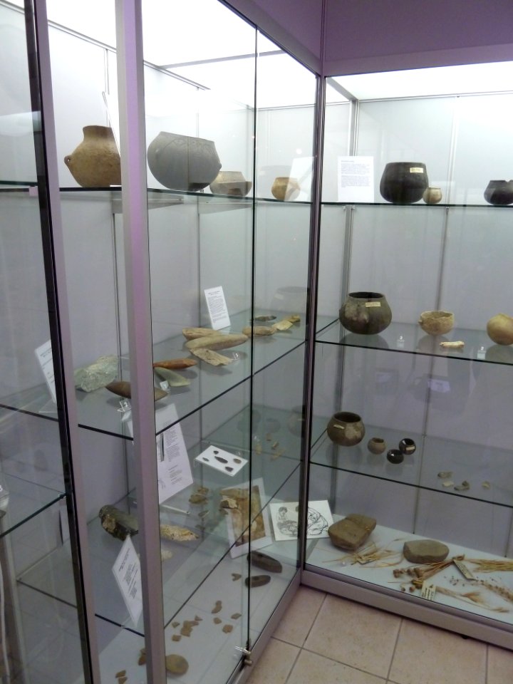 Archeologiemuseum Stein - Vitrine 6a-6 - Steentijd
