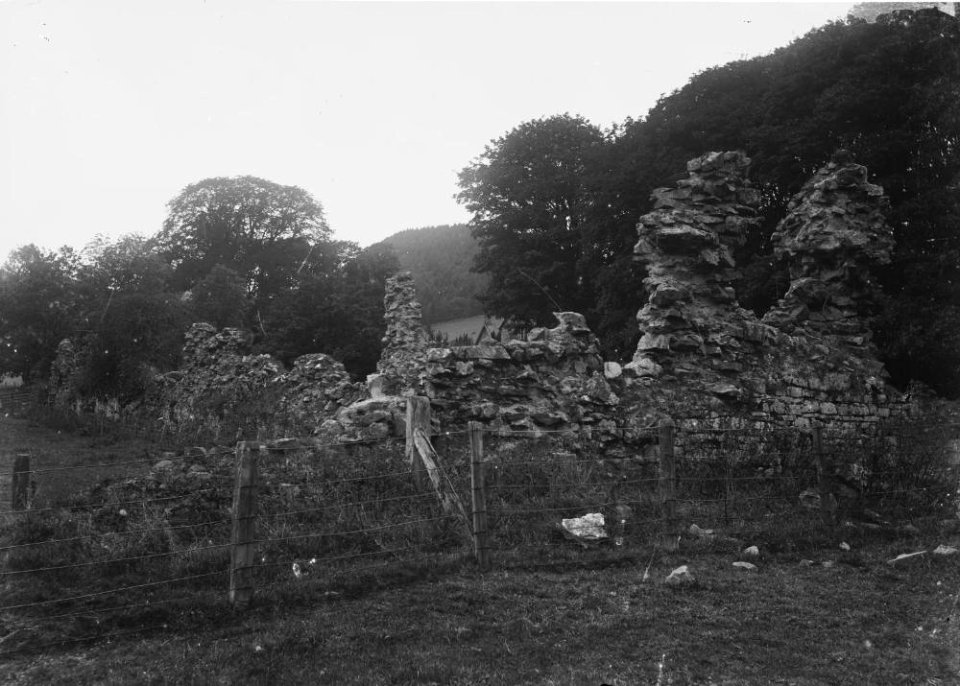 Archaeological ruins at Abbeycwmhir (1294940)