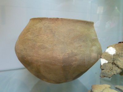 Archeologiemuseum Stein - IJzertijd - 3a-C-2