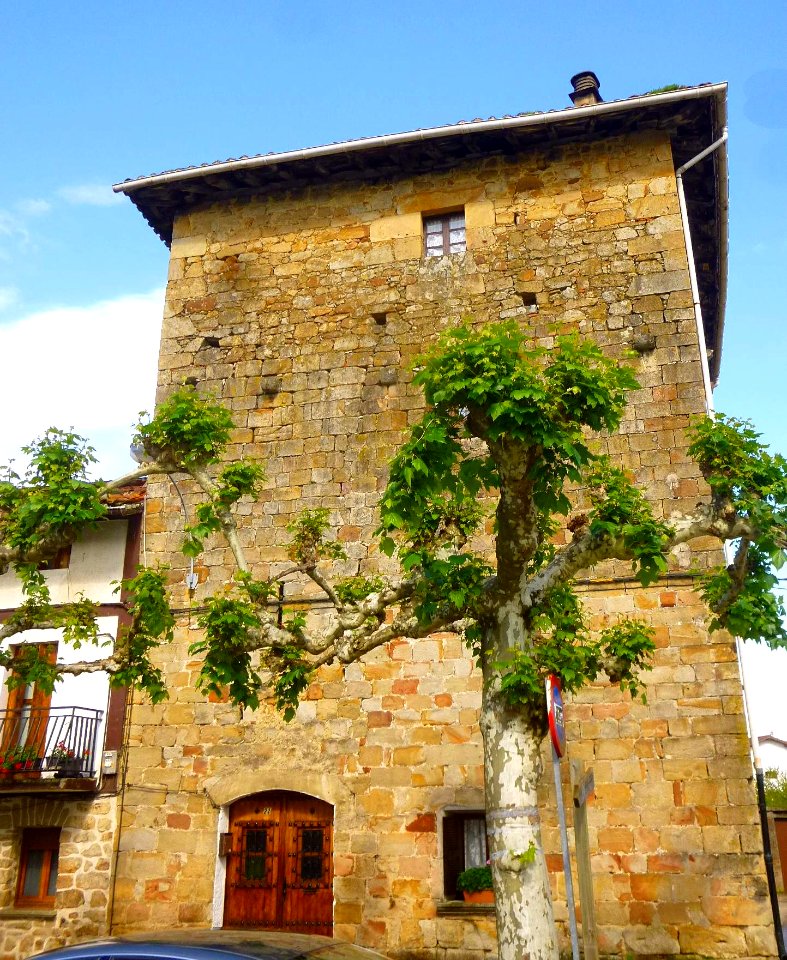 Arbizu - Palacio de Cabo de Armería 09