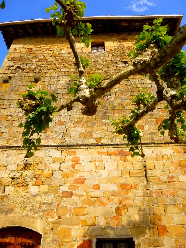 Arbizu - Palacio de Cabo de Armería 10