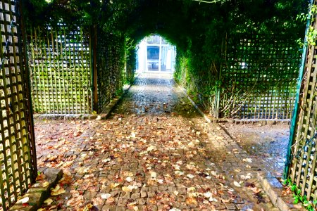 Arbor - Quinta das Lágrimas - Coimbra, Portugal - DSC09547