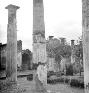 Archeologie, opgravingen, ruïnes, Pompeï, Italië, Bestanddeelnr 255-8887