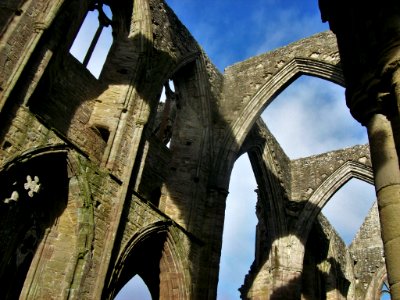 Arches, Tintern Abbey 2 photo
