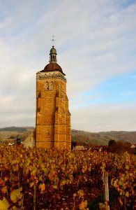 Arbois 39 15 Novembre 2016 (186221183)