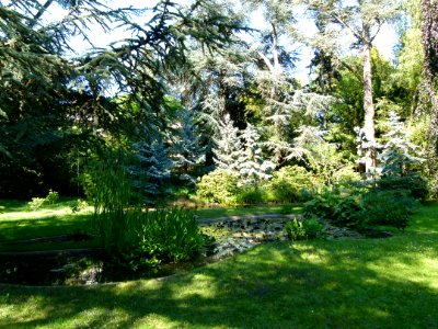 Arbres au jardin Albert Kahn 8