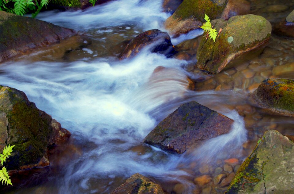 River spring water water sources