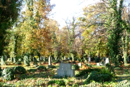 Antoniusfriedhof-Saaz