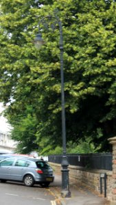 Arc Lamp Post At West End Of York Gardens