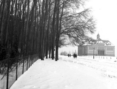 Apeldoornseweg langs park Sonsbeek te Arnhem in de winter (met sneeuw) In de a, Bestanddeelnr 193-0769