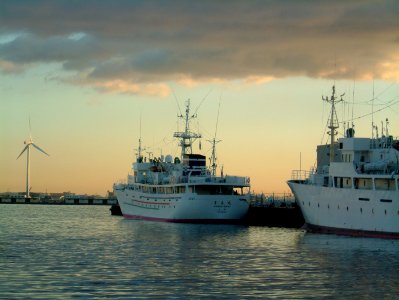 Aomori-maru training-ship