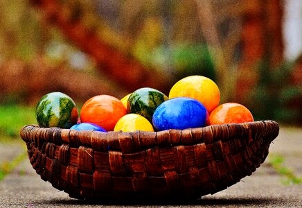 Happy easter egg colored photo