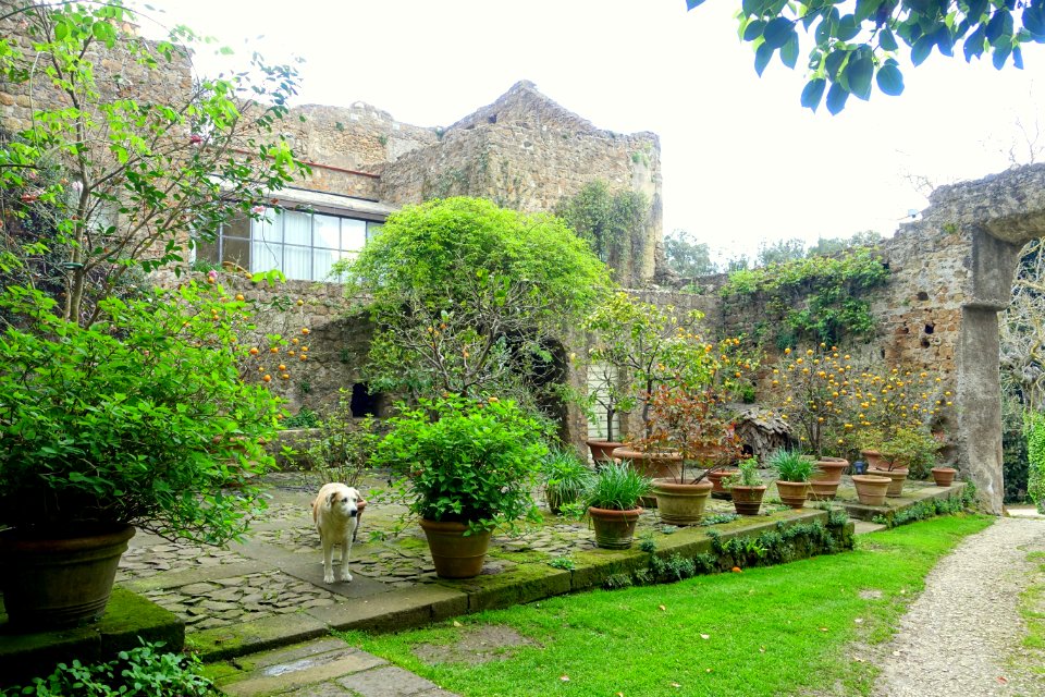 Apartment ruins - Torrecchia Vecchia - Cisterna di Latina, Italy - DSC03237