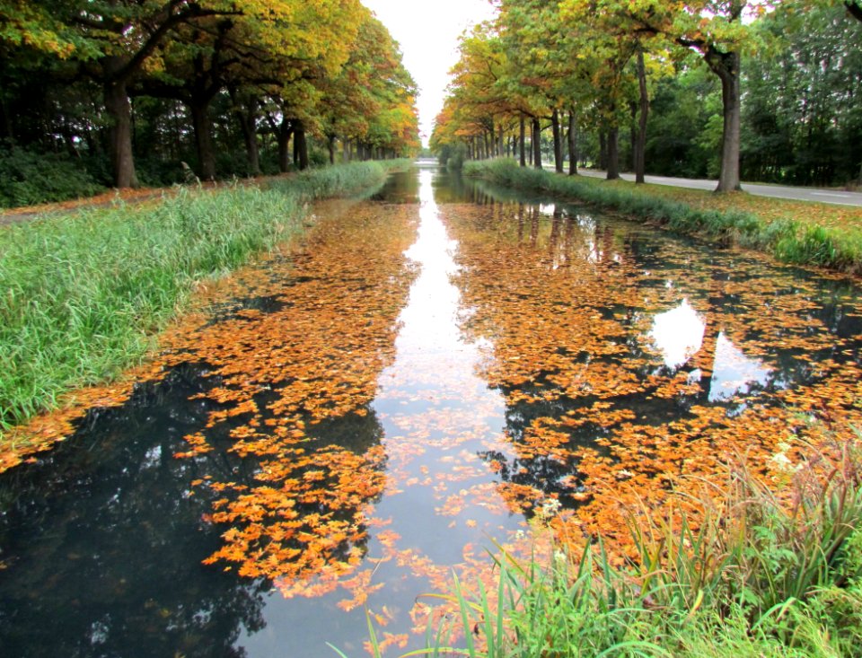 Apeldoorns Kanaal in de herfst