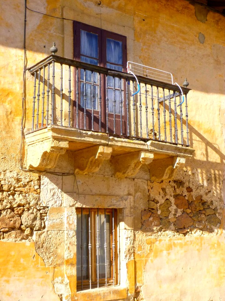 Apellániz - Casa-Palacio de los Neira-Alemany 2