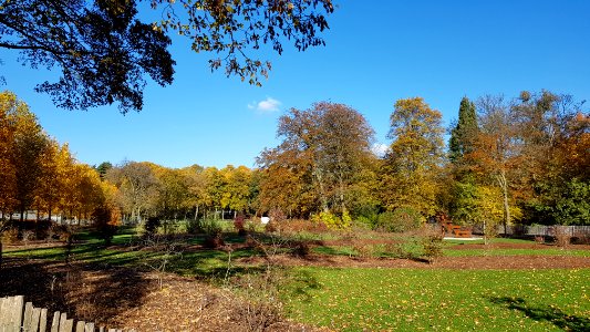 Antwerpen-Rivierenhof Deurne (6)