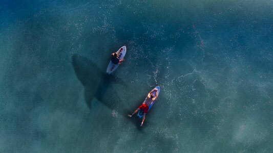 Paddle board surfer photo