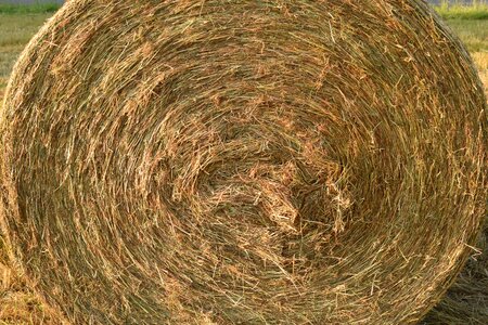 Round bales background close up