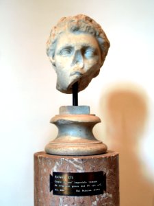 Antiquarium del Palatino, Atleta