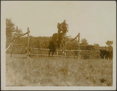 ANZAC Horse show - A N.Z. officer wins the jumping competition, Bestanddeelnr 158-2622
