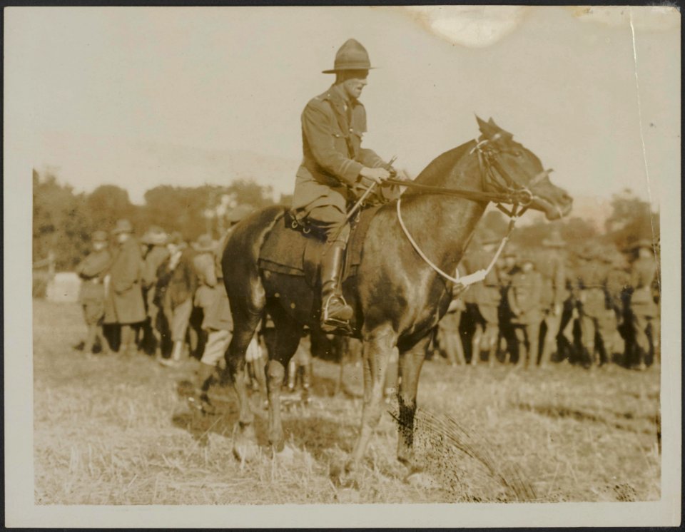 ANZAC Horse show - A N.Z. officer wins the jumping competition, Bestanddeelnr 158-2620