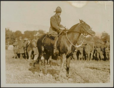 ANZAC Horse show - A N.Z. officer wins the jumping competition, Bestanddeelnr 158-2620