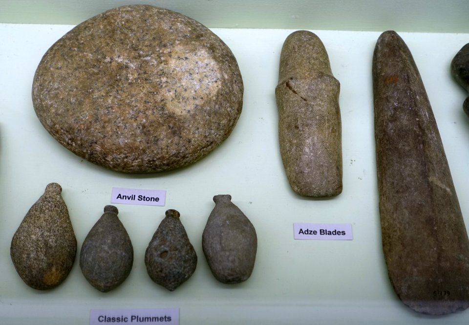 Anvil stone, adze blades, and classic plummets - Middle Archaic collection - Robbins Museum - Middleborough, Massachusetts - DSC03801
