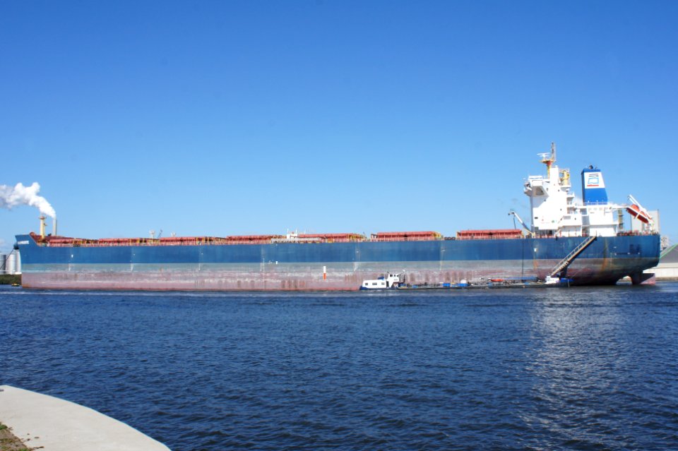 AOM Aphrodite - IMO 9590096, Mercuriushaven, Port of Amsterdam, pic4
