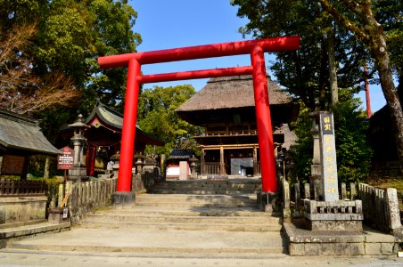 Aoi Aso-jinja, torii photo