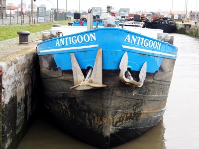 Antigoon - ENI 06503006 Port of Antwerp pic1