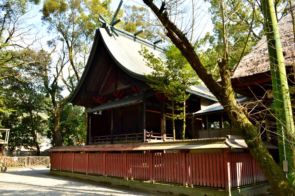 Aoi Aso-jinja, honden-1