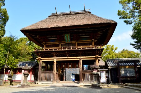 Aoi Aso-jinja, romon-2