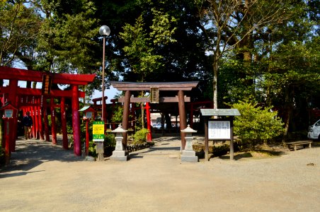 Aoi Aso-jinja, keidaisha