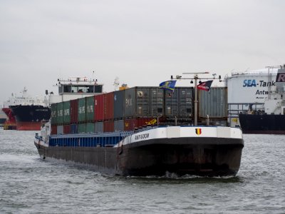 Antigoon (ship, 2002) Port of Antwerp pic5
