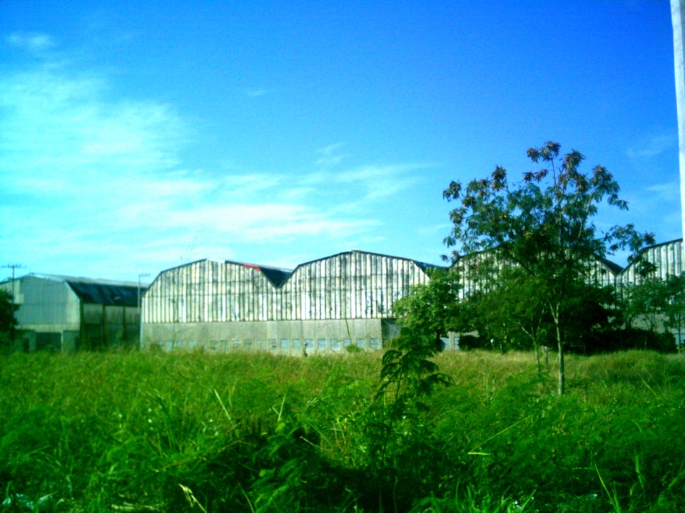 Antiguas instalaciones de Cordemex (03)
