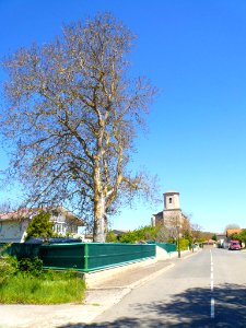 Aránguiz 09