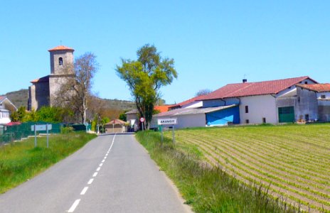 Aránguiz 13