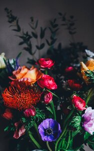 Flower bouquet flowers bouquet floral