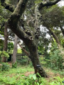 April plants at Institute for Nature Study 25