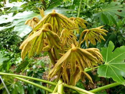 April plants at Institute for Nature Study 22