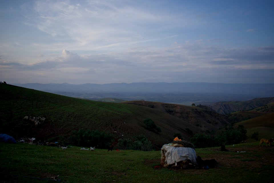 Arab Bedouin near Baharka, in Erbil Governorate 28