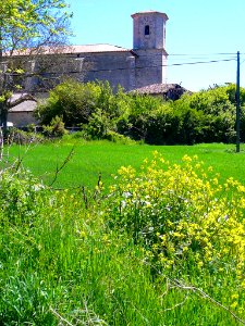 Aránguiz - Iglesia de San Pedro Apóstol 03