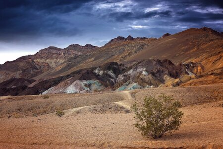 Colorful death desert