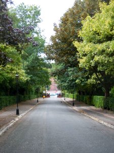 Approach Road to Woodvale Cemetery, off Lewes Road, Brighton (August 2014)